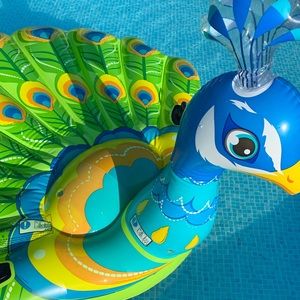 Meet your Posher, Bailey